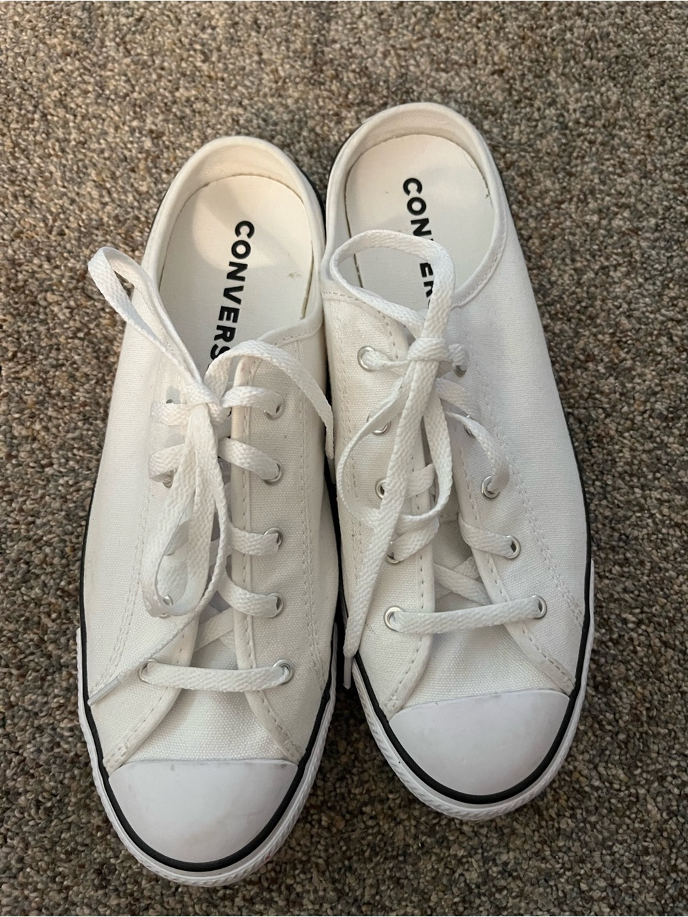 Converse Low Top Canvas Sneakers in White